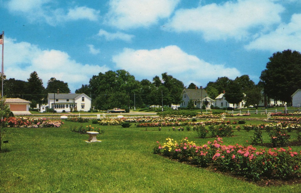 State Center, Iowa, Rose Garden a photo on Flickriver