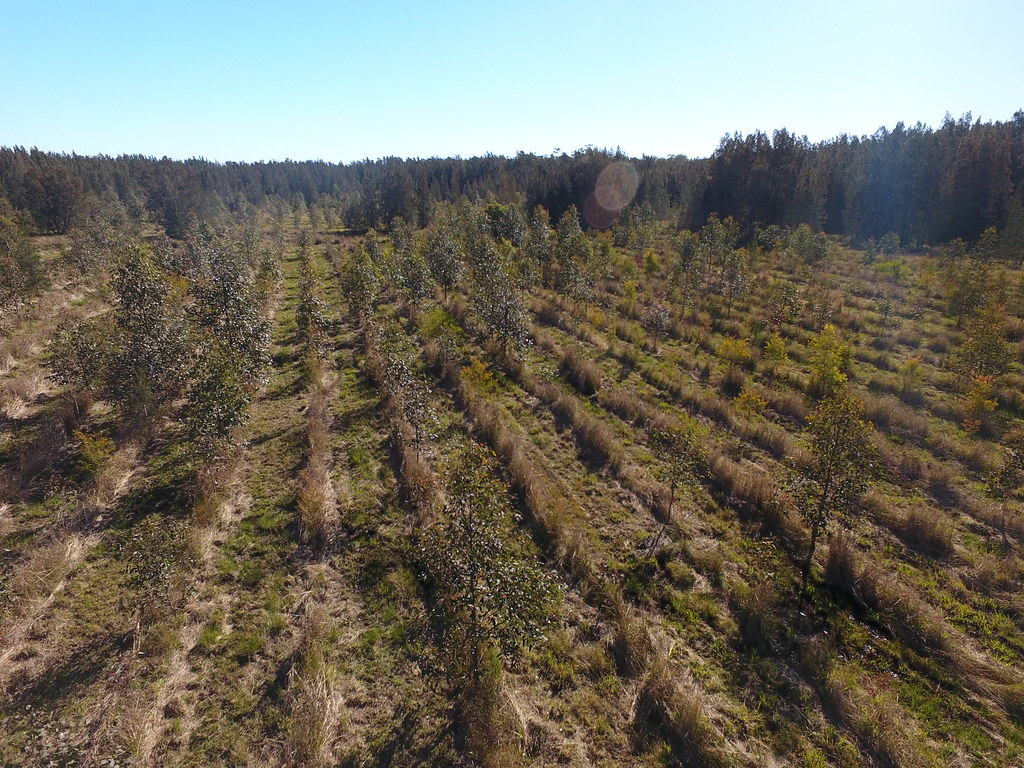 Site 525_Great Lakes, NSW July 2018 Drone footage captur… Flickr