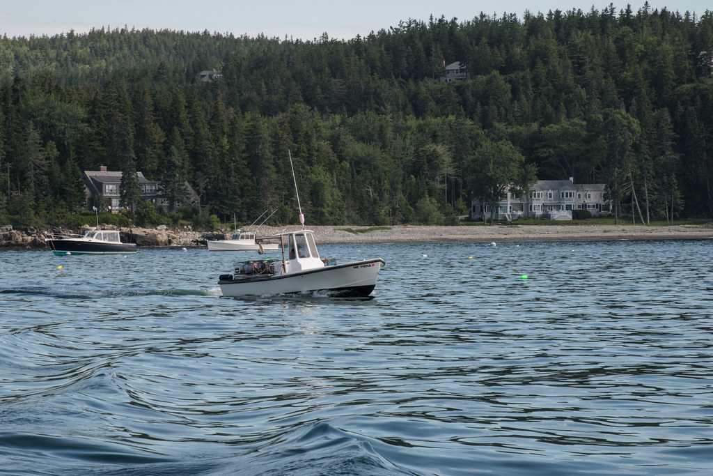 20180710RDLSC0196 Mt. Desert Island and Ellsworth area,… Flickr