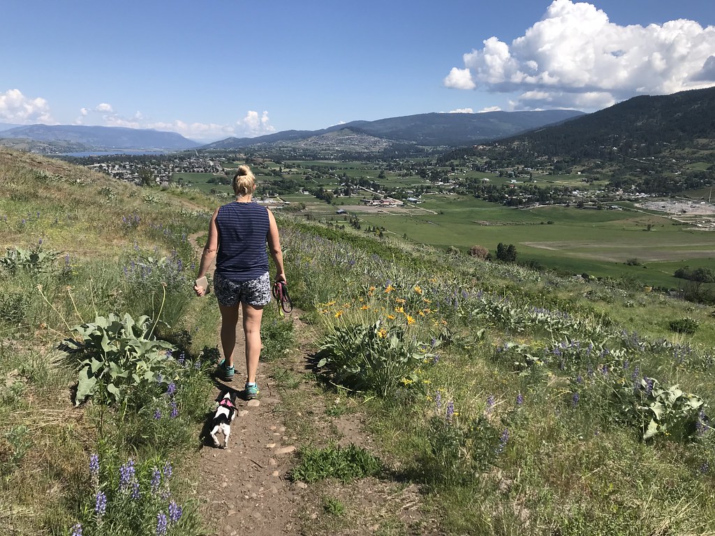 Hiking at Middleton Mountain in Vernon, BC Ryan Van Veen Flickr