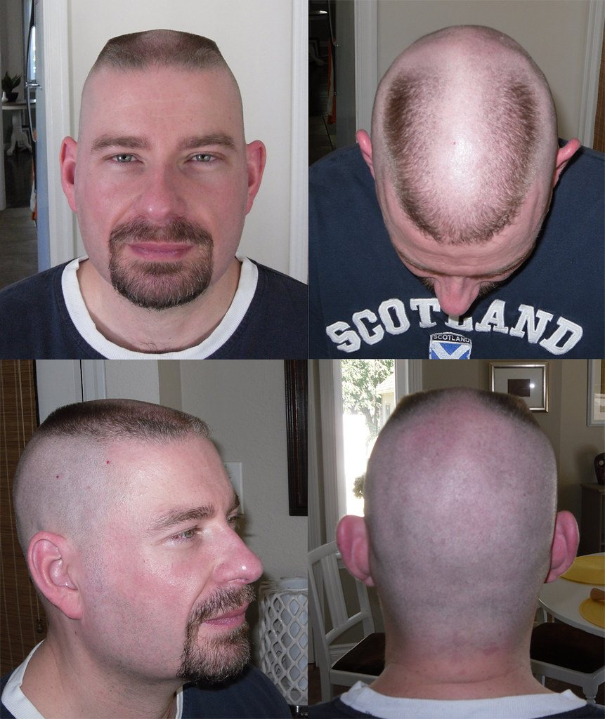 Marine Horseshoe Haircut
