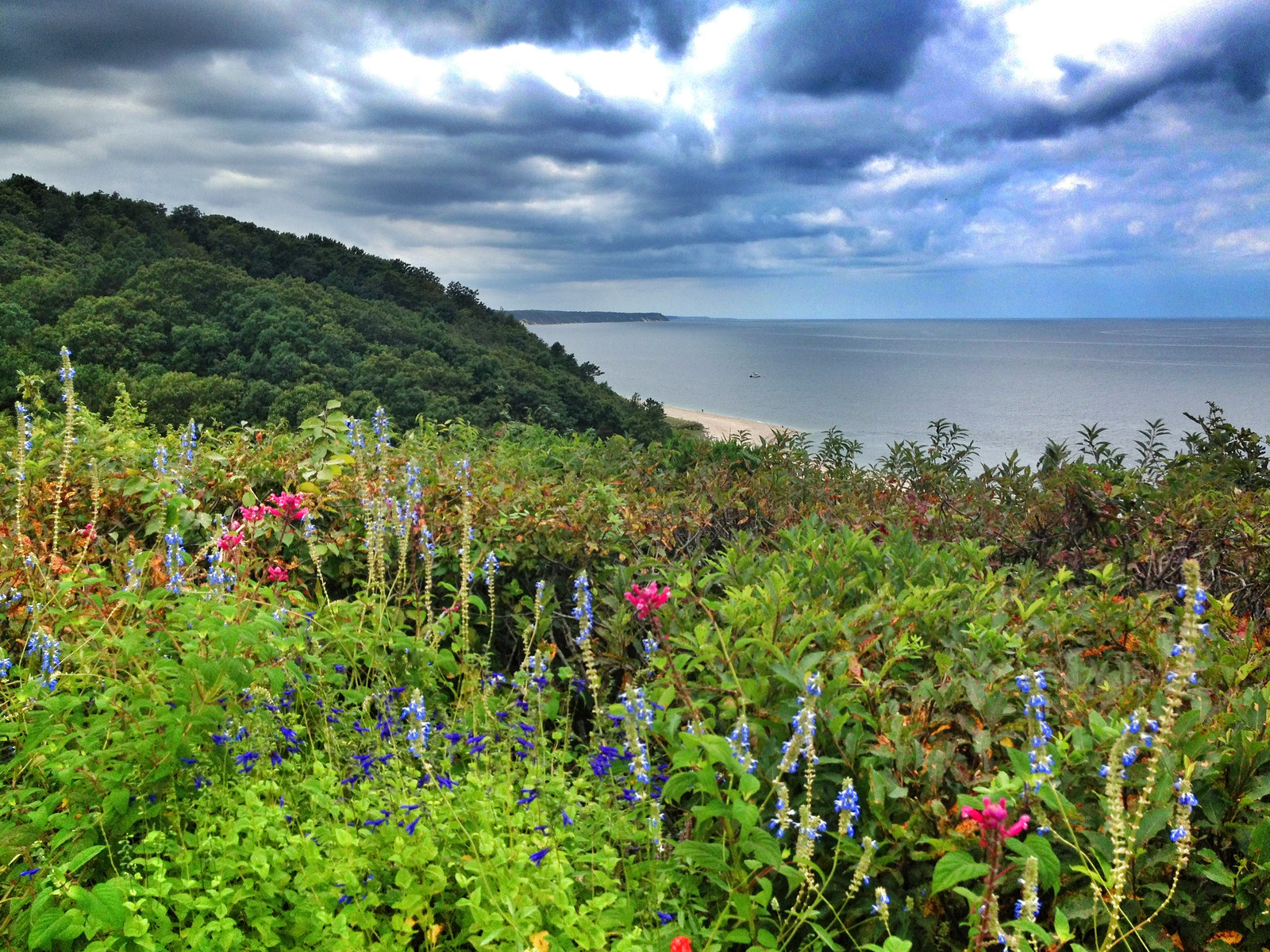 Baiting Hollow Hummingbird Sanctuary Flickr