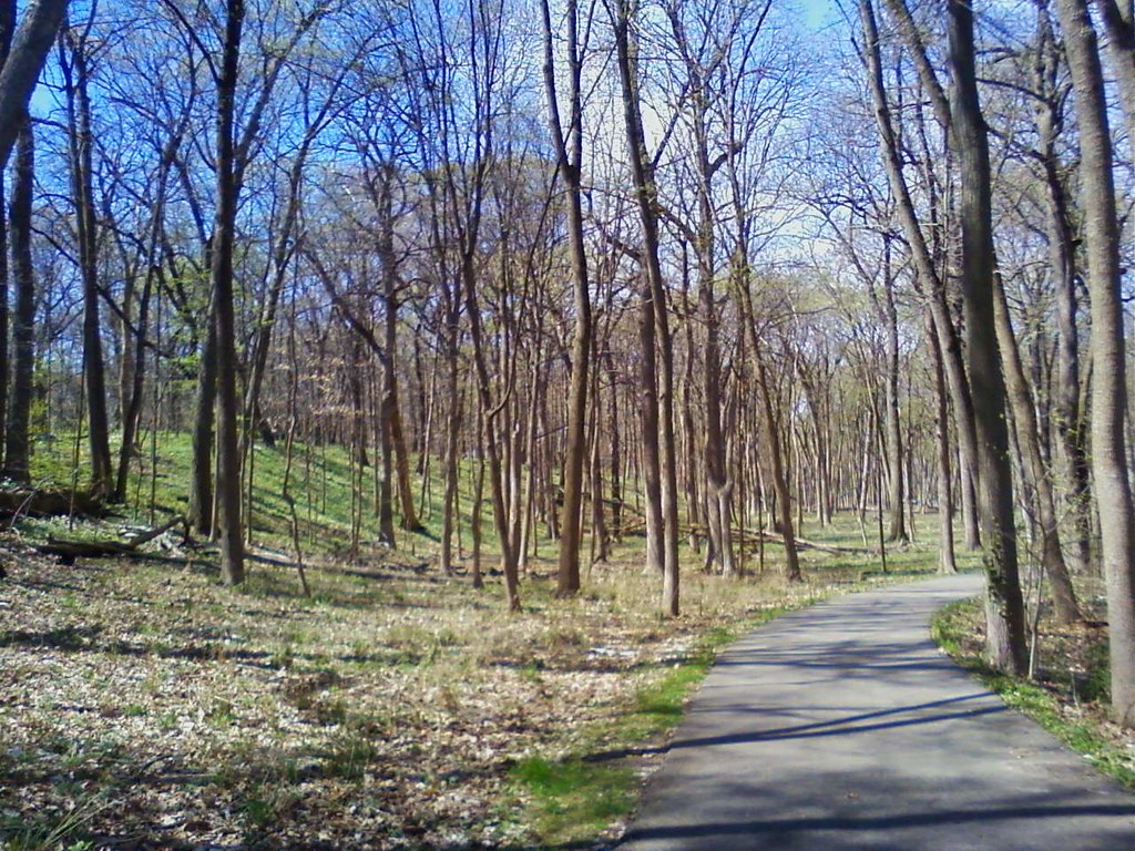 32812a S.Bliss Woods Sugar Grove,IL yud1000 Flickr