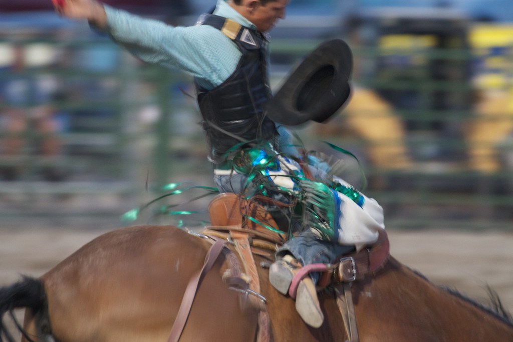 Saddle Bronc event, Jackson Hole Rodeo Brian Gratwicke Flickr