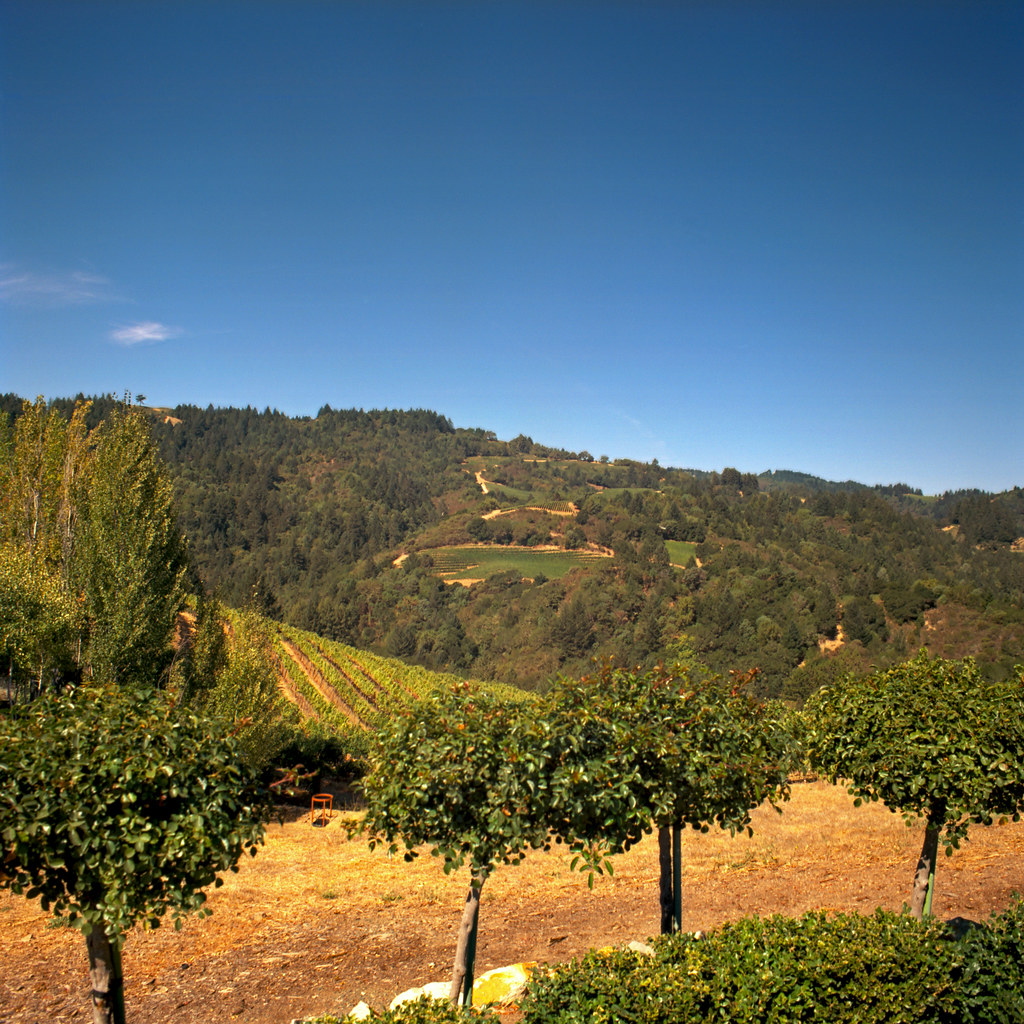 Spring Mountain Napa From the grounds of the Newton Wine… Flickr