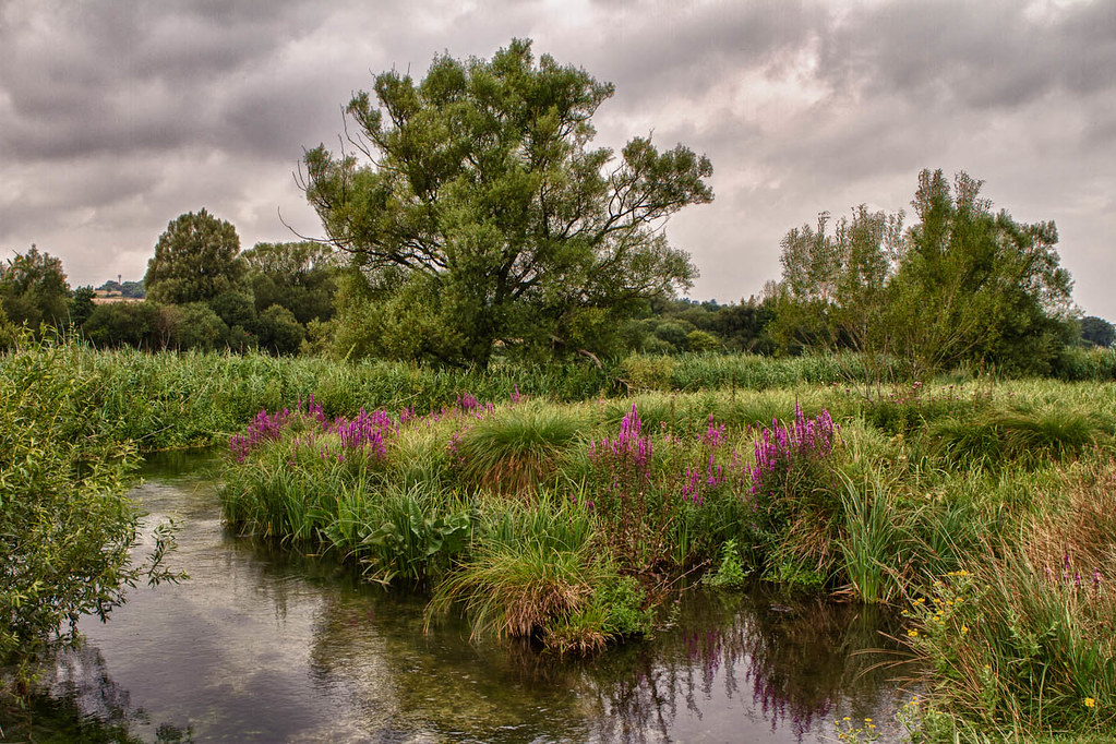 Stockbridge in the Summer This was my second amble along t… Flickr