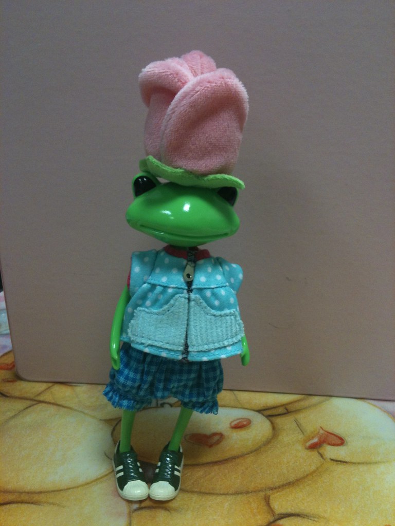 Wonder Frog in Lalaloopsy Littles' outfit Wonder Frog It … Flickr