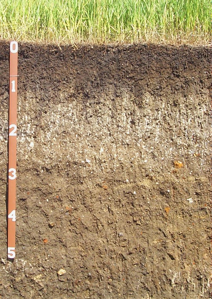 Houdek South Dakota's State Soil The South Dakota Legisl… Flickr