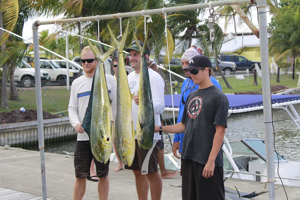 2012GoldenHookDolphinTournament Photographs by Alda Anduze… Flickr