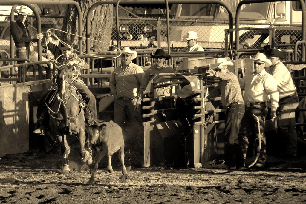 Fun Western Style Great day out at the King County Fair John