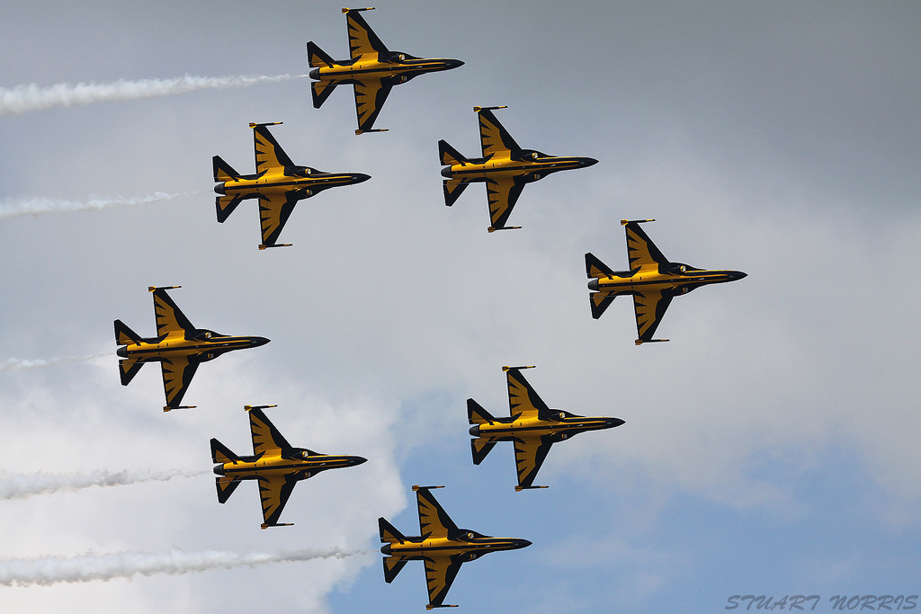 Black Eagles The Black Eagles display team from the the Re… Flickr