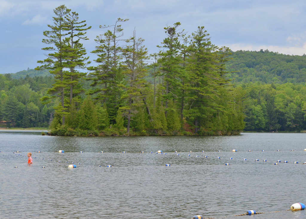 One of the islands at Minerva Lake Ellen F Flickr
