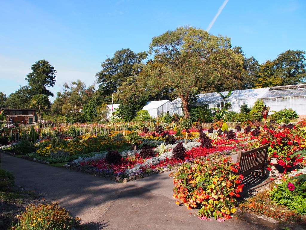 Flowers Swansea Botanical Gardens Singleton Park 22nd Se… Flickr