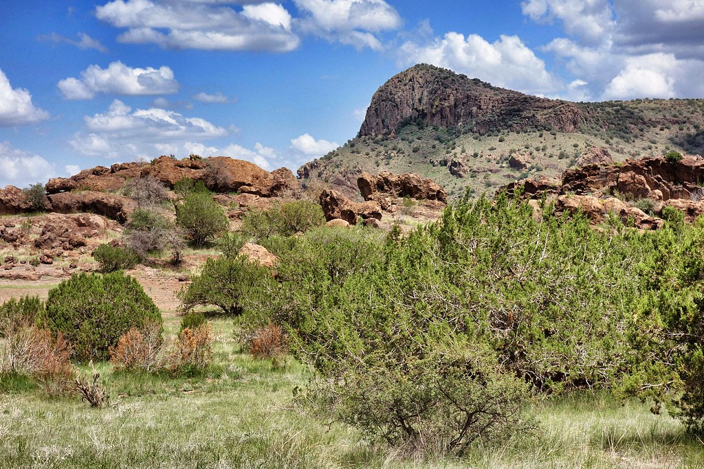 Sunny Glen 2 Near Alpine, Texas, processed with Snapseed. Cobaltski