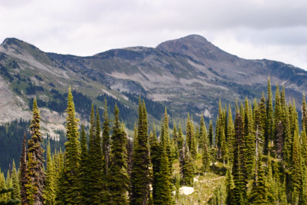 Revelstoke Revelstoke National Park, BC, Canada Steve Singer Flickr