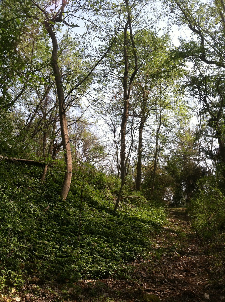 Albert's Organics April 2016 SJLWT Photo Flickr