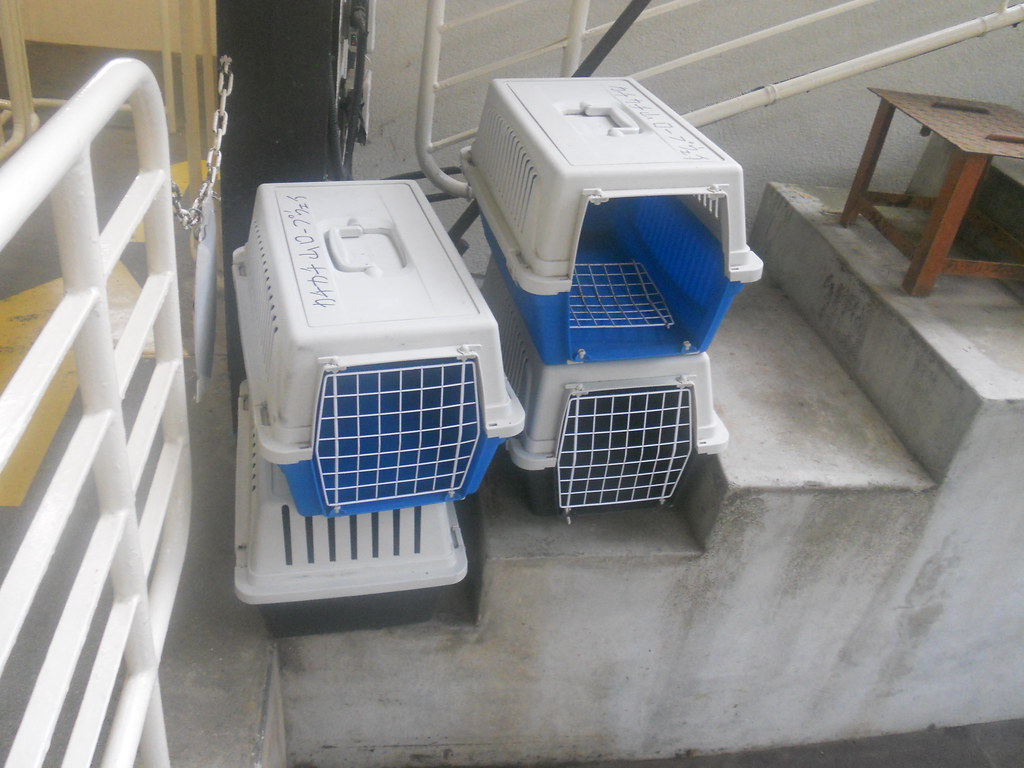 Free Cages You are allowed to take dogs up on the Mt. Kach… Flickr