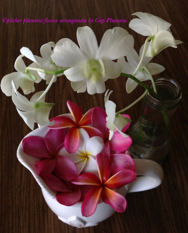 plumeria flower arrangement Flickr