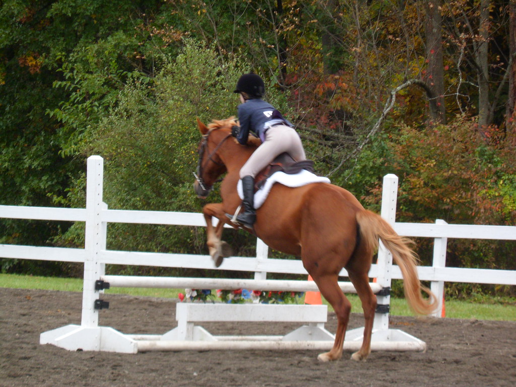 October 7th Show 183 Saddlebrook Equestrian Center Flickr
