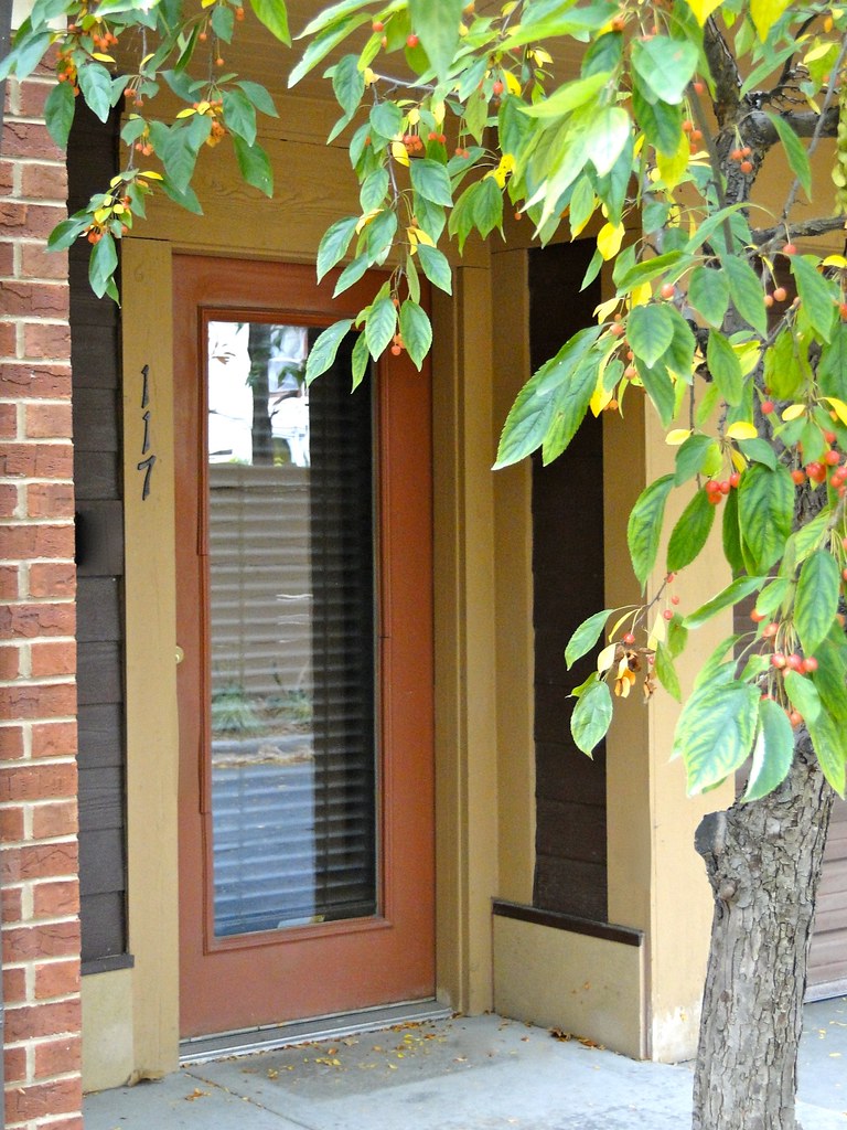 117 Dayton Row, Madison, WI Bex Behling Flickr