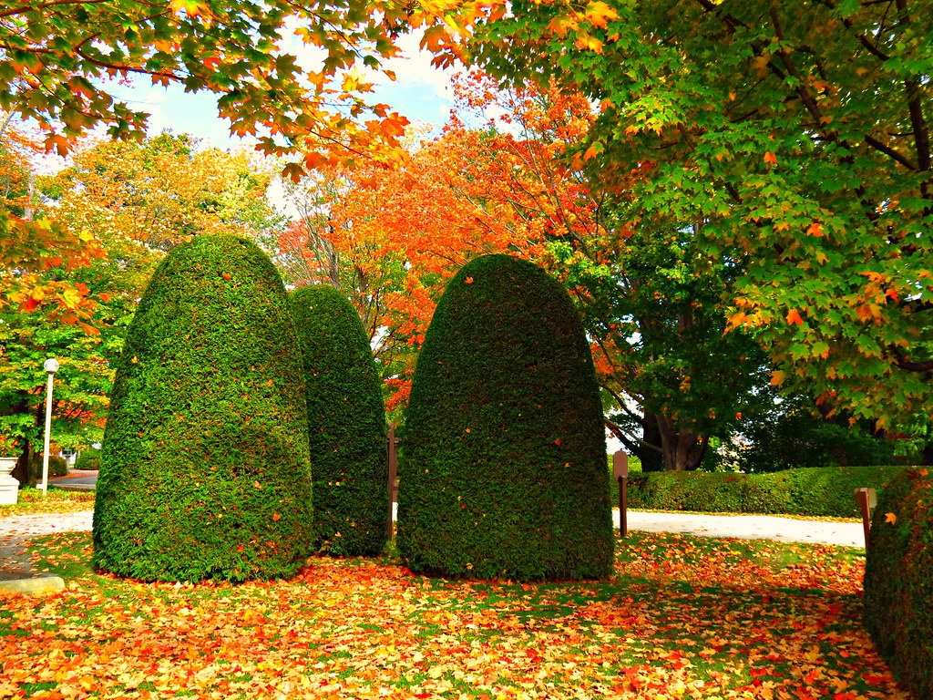 The Briars Resort, Jackson Point, ON Snuffy Flickr