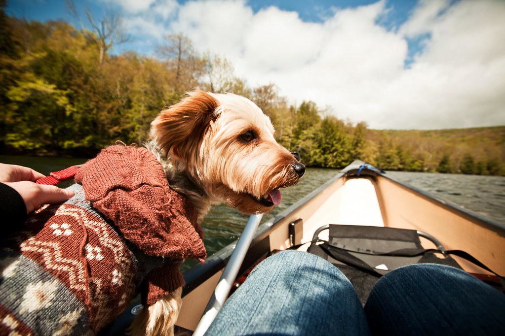 baby canoeing Vanessa Flickr