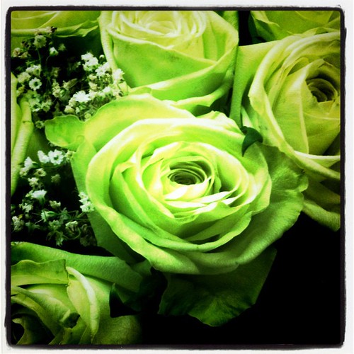 Natural Green Roses for sale in the Price Chopper Floral D… Flickr