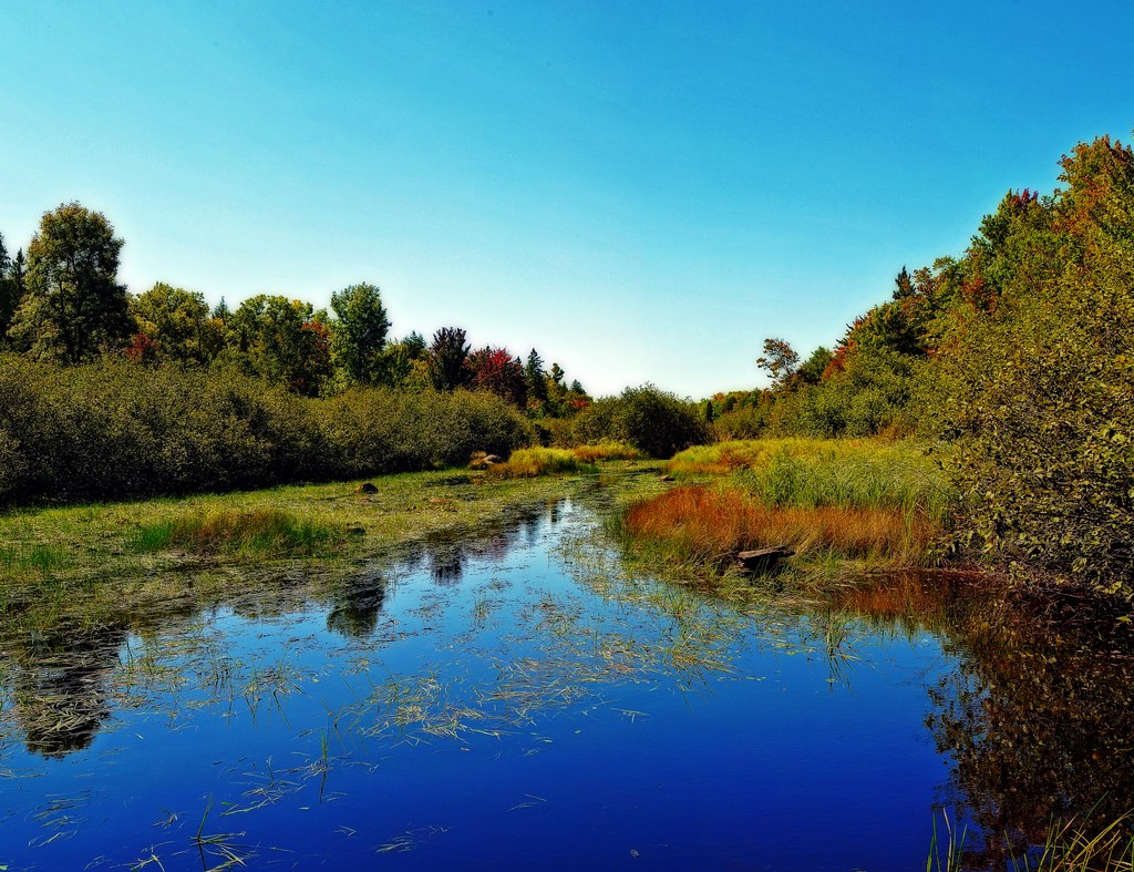 Rat Lake Swamp & Popple River Headwaters State Natural Area Flickr