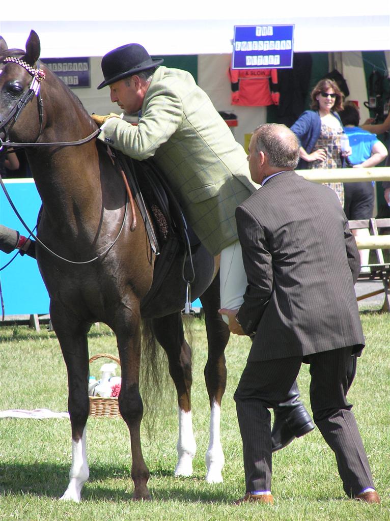 Horse Show Judge The Royal Festival of the Horse 2010 Alex von