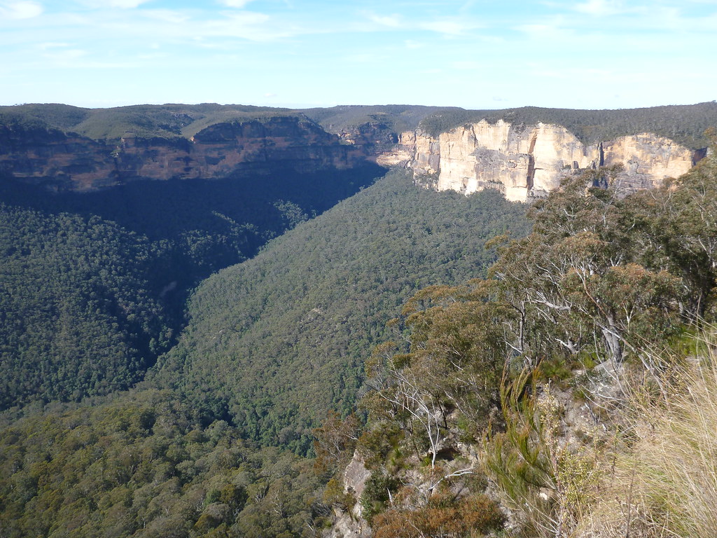 Grand Canyon, from Cliff Top Track, Blue Mountains Nationa… Flickr
