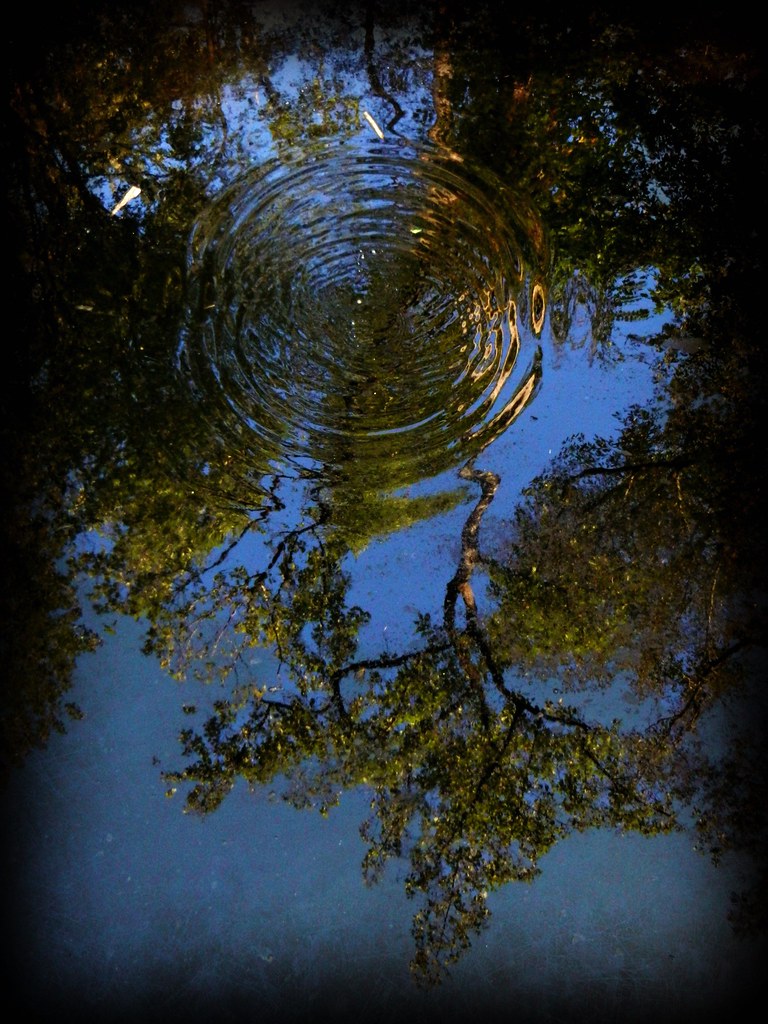 Reflections of Otter Creek Near Crisp, County, North