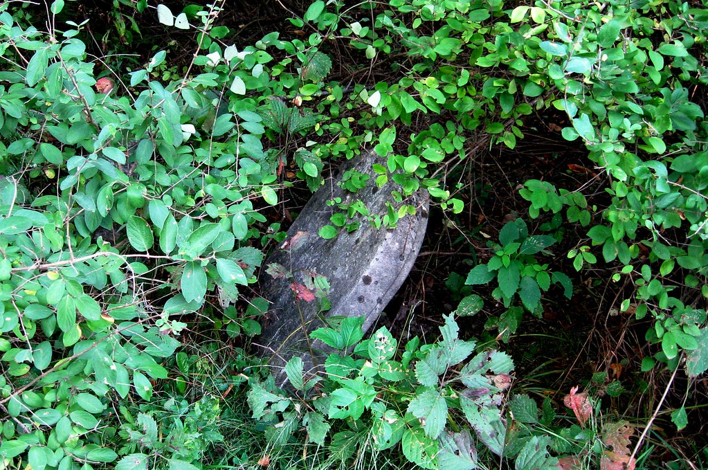 Lost and 2 Old Methodist Cemetery, West Glenvil… Flickr