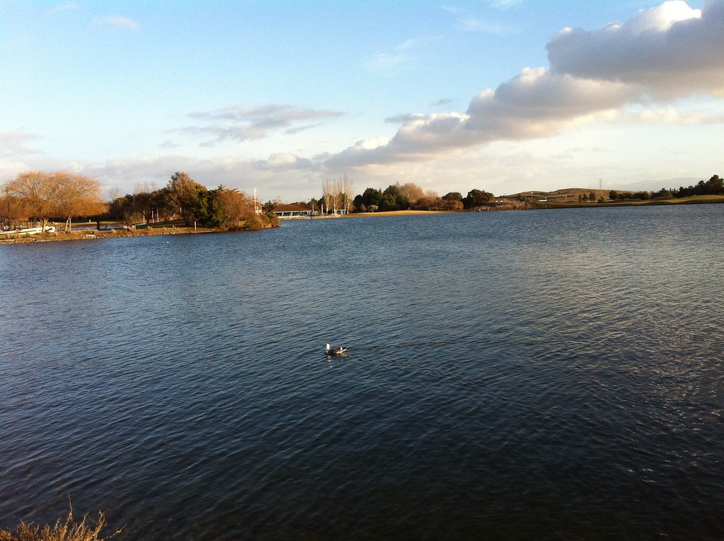 IMG_0552 asmita_karandikar Flickr