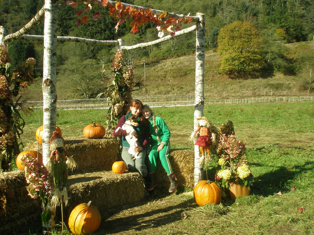 Kilchis River Pumpkin Patch & Corn Maze Kilchis River Pump… Flickr