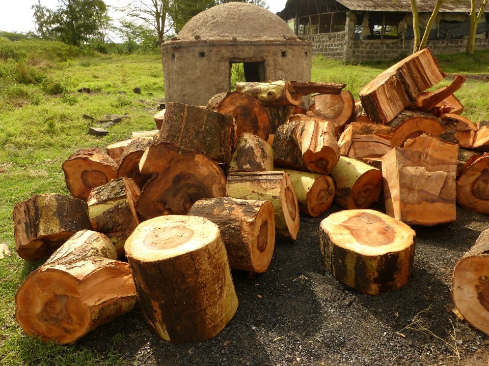 acacia logs for charcoal making Cooks Well Flickr