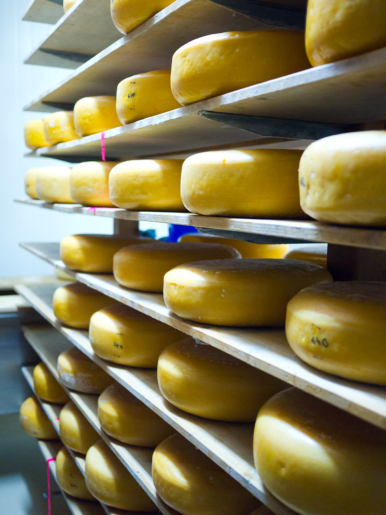 In the cheese room Cambray Sheep Cheese, Nannup. The Food