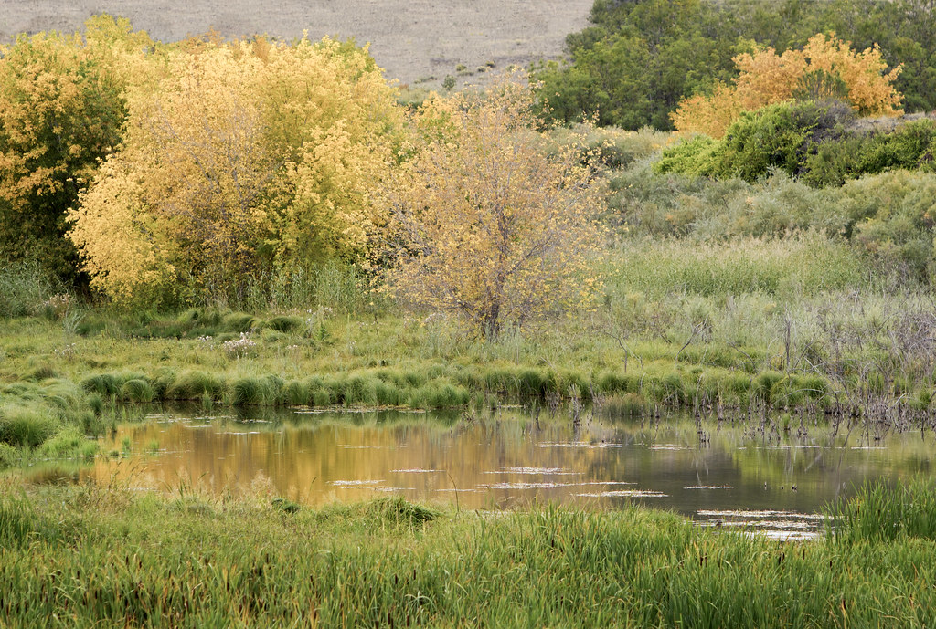 Reflections Taken near Eagar, AZ. Jason Branch Flickr