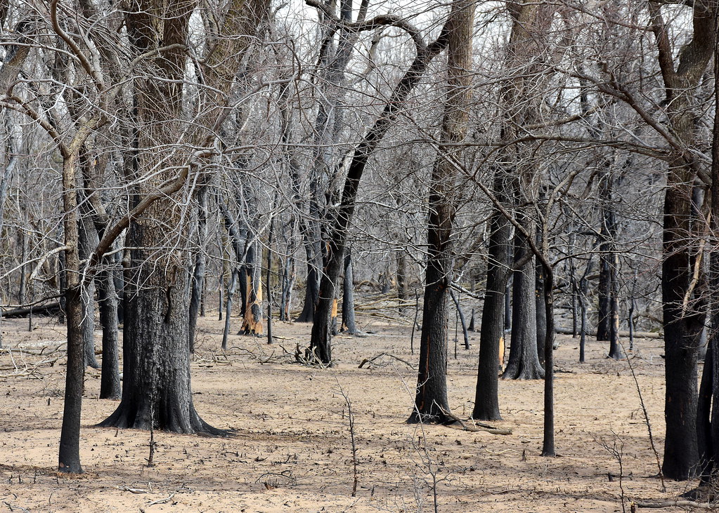 2018 Disaster Relief Vici, Oklahoma Wildfire In April … Flickr