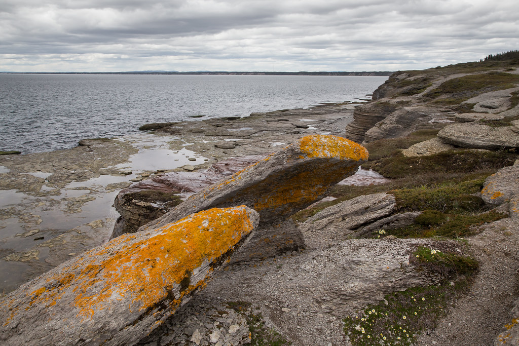 Sentier du Cap Ferré HavreSaintPierre, CôteNord Pierre Richer