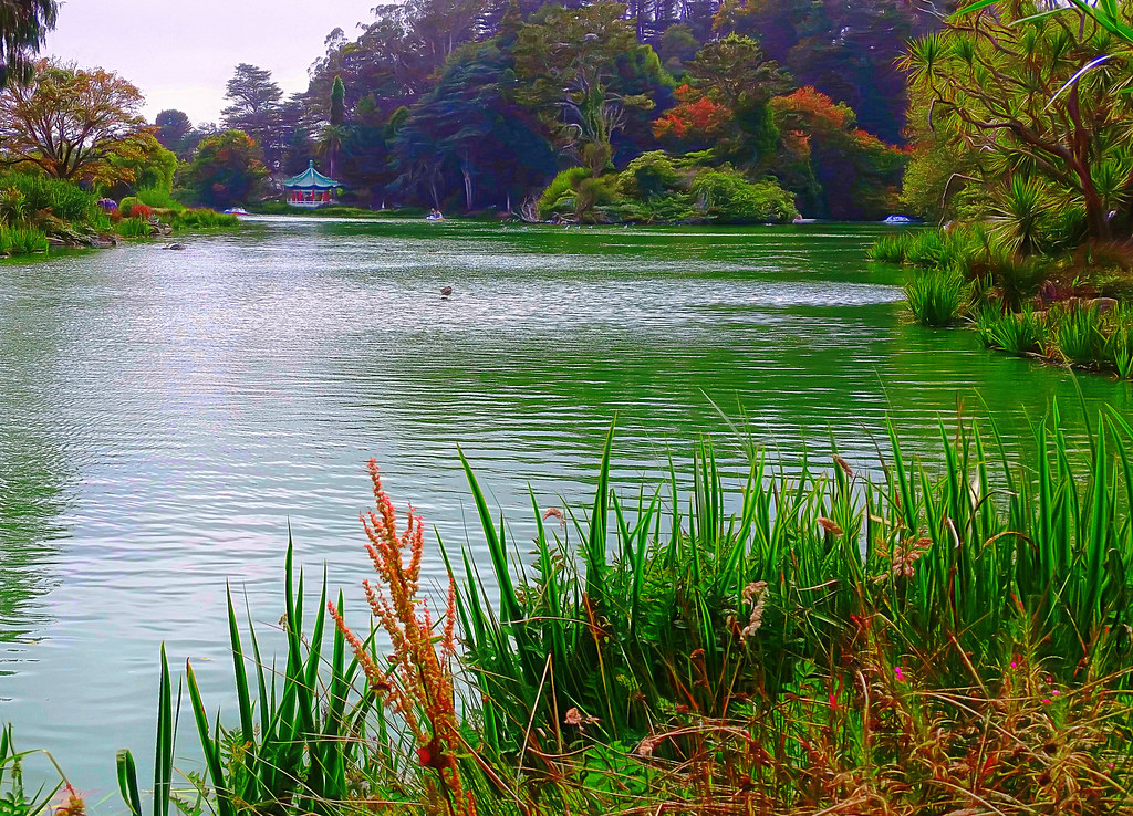 Stow Lake Stow Lake Golden Gate Park San Francisco CA. Tak… Flickr