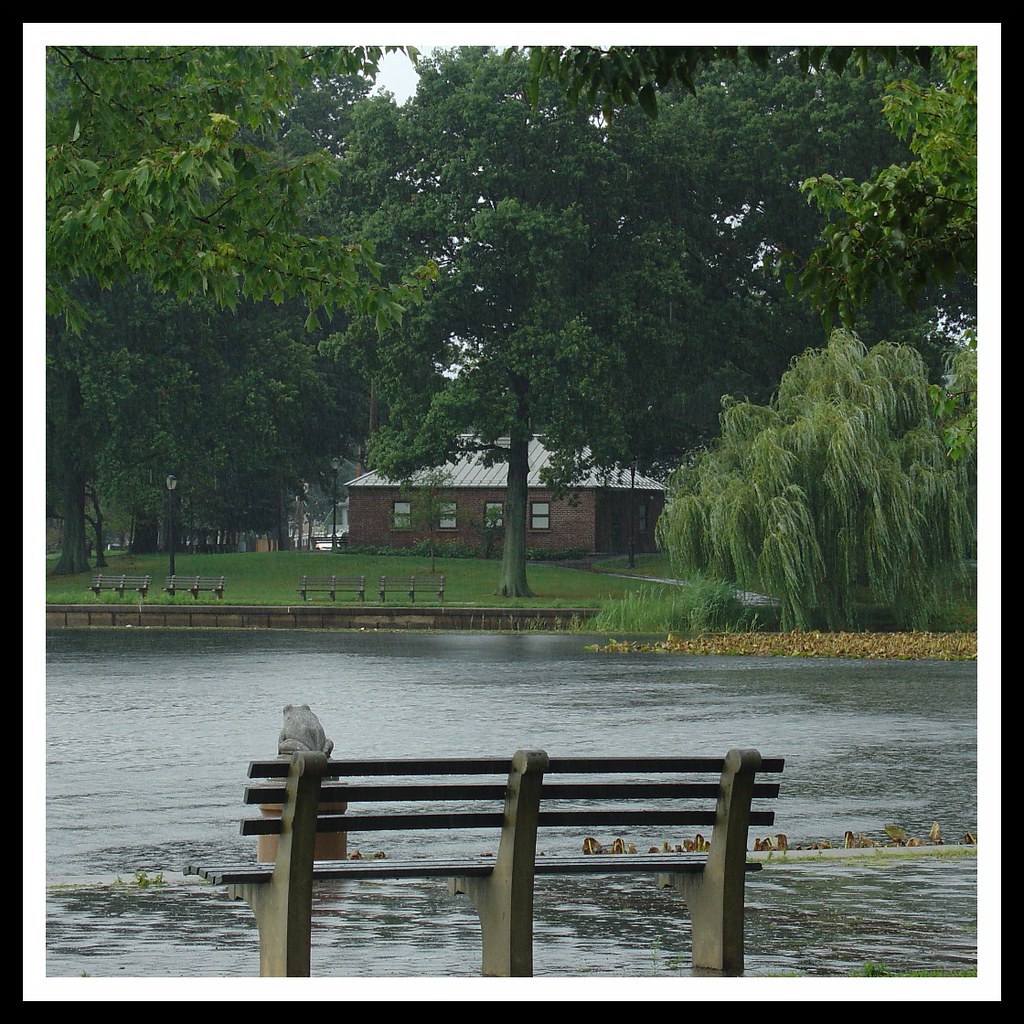 Urban Serenity Baisley Pond Park in Queens, NYC. Rich Mitchell Flickr