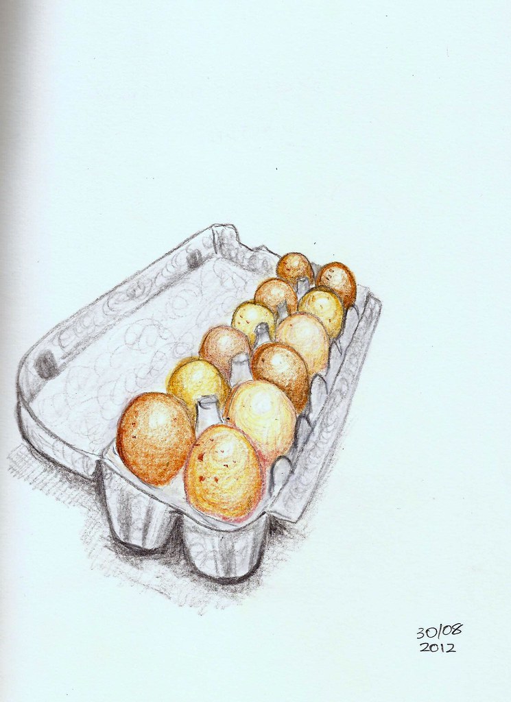 eggs Lyra Rembrandt Aquarelle pencil sketch Sara Flickr