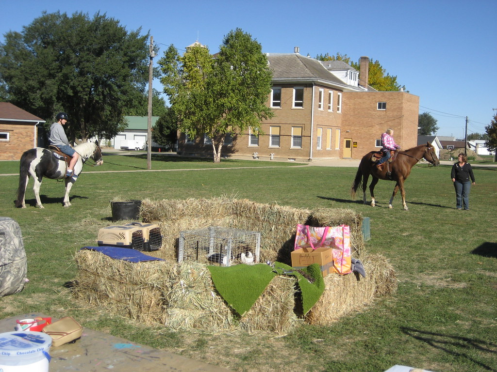 2012266 Petting Zoo Today we had a petting zoo and games … Flickr