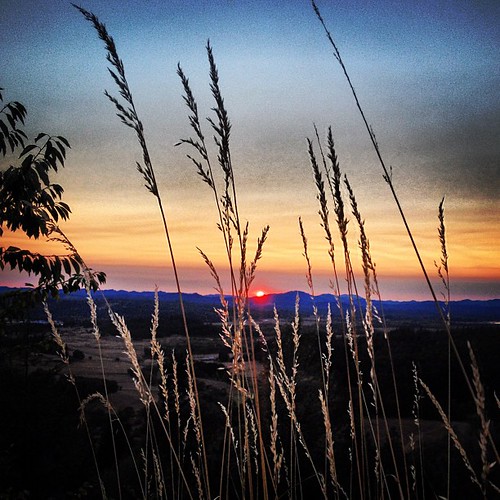 sunset in Eugene Oregon outdoors from Greenhill road … Flickr