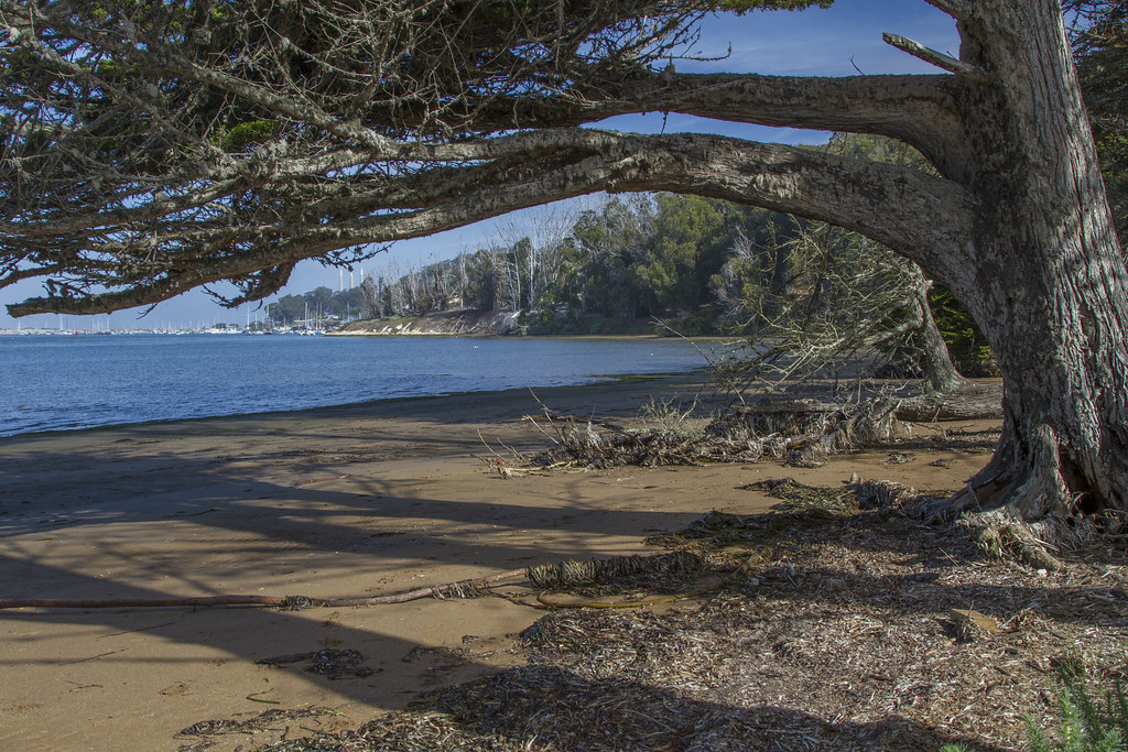 Windy Cove low tide Morro Bay, California, USA Fred Moore Flickr