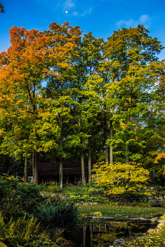 Spring Grove Park Series of fall colors taken in beautiful… Flickr