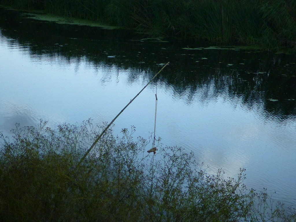 Elevation of Pecan Island, Parish Governing Authority District 13, LA