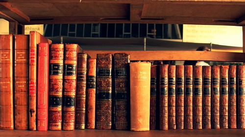 Bibliophile [bɪblɪəˌfaɪl] noun a person who loves or