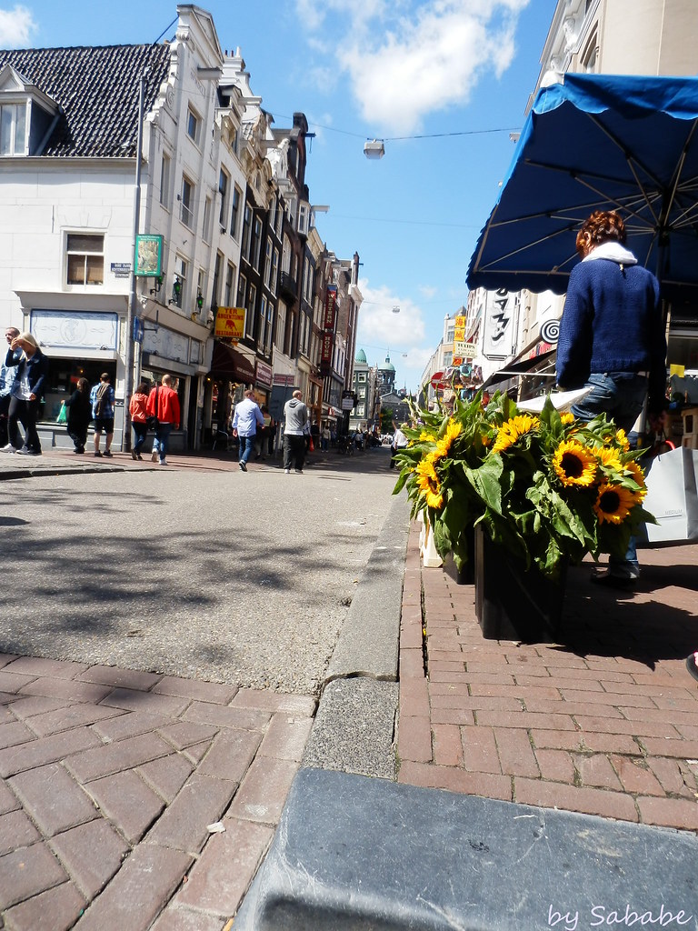 Sunflowers in Amsterdam OLYMPUS DIGITAL CAMERA Flickr