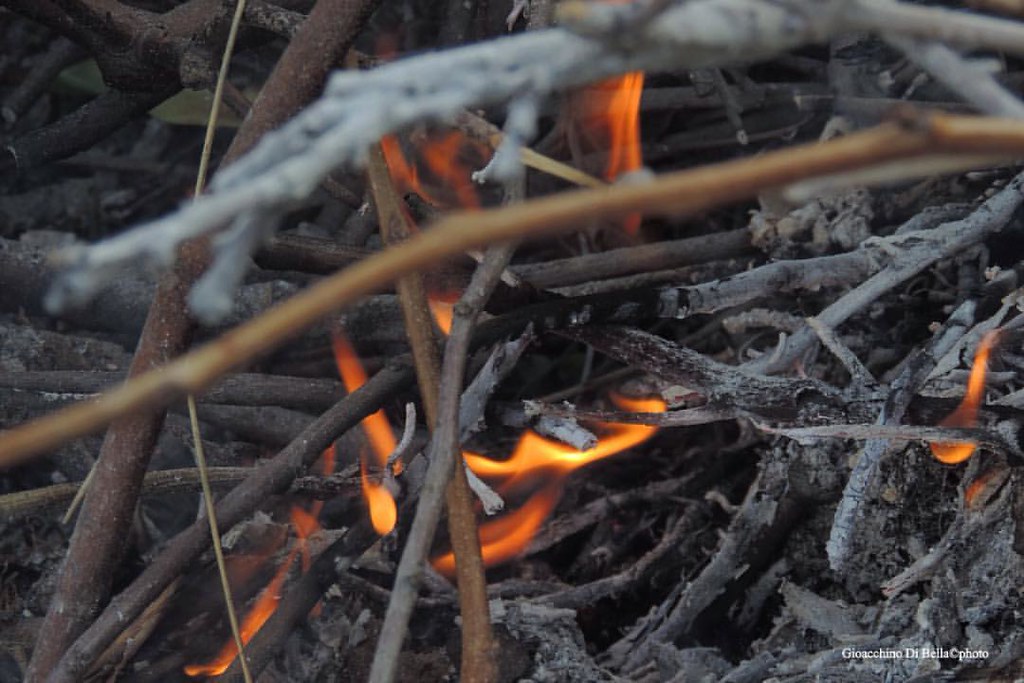 Fuoco & cenere fuoco cenere liberoscatto Gioacchino Di Bella Flickr